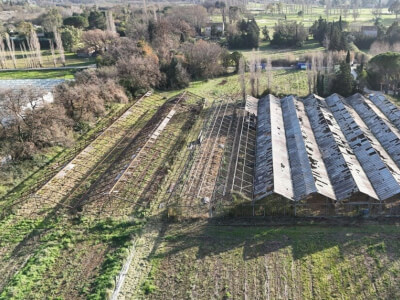 616626216 1392579829333162 4979822851521144339 n