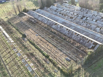 617572618 1392579735999838 1260466747914828587 n