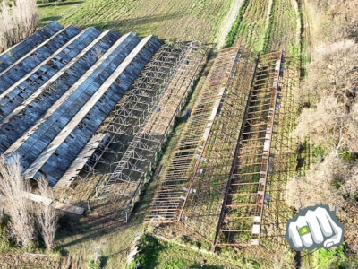 618709686 1392579909333154 3449012686002005003 n