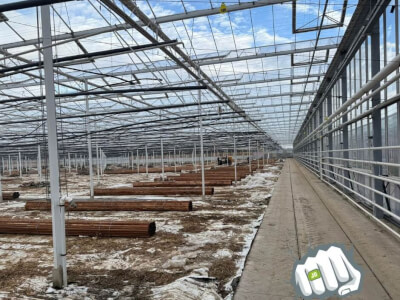 581890487 1339787797945699 8445490515825551777 n