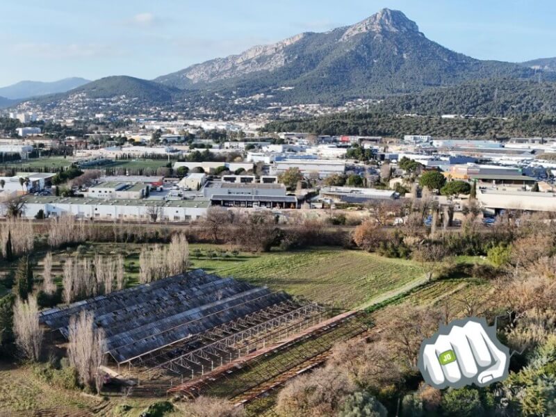 615979394 1392579709333174 3660385353626595228 n